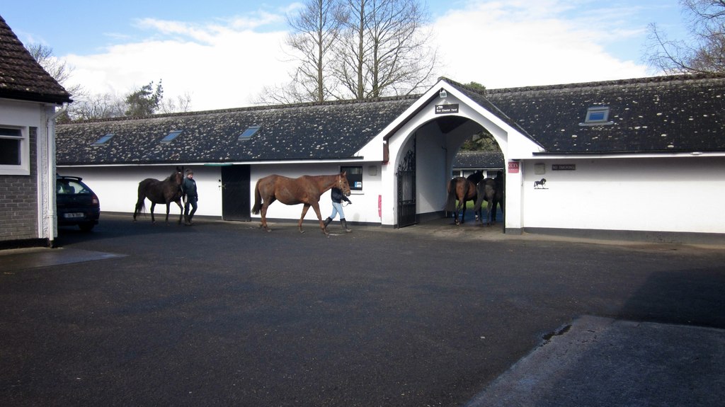 Irish National Stud